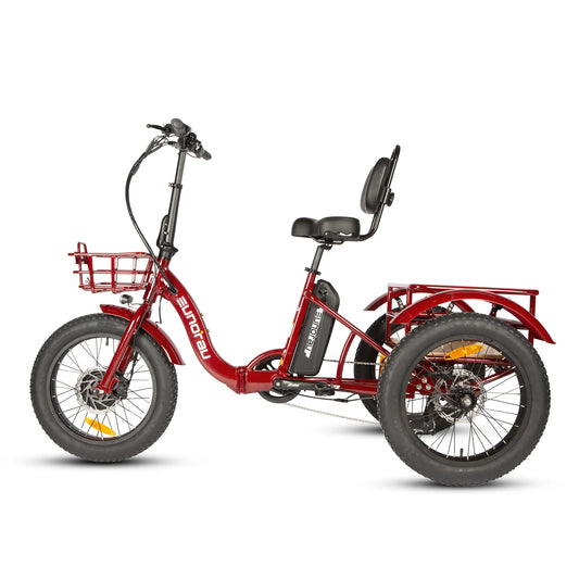 EUNORAU NEW-TRIKE 2.0 Electric Trike – 750W Fat Tire Cargo eTrike