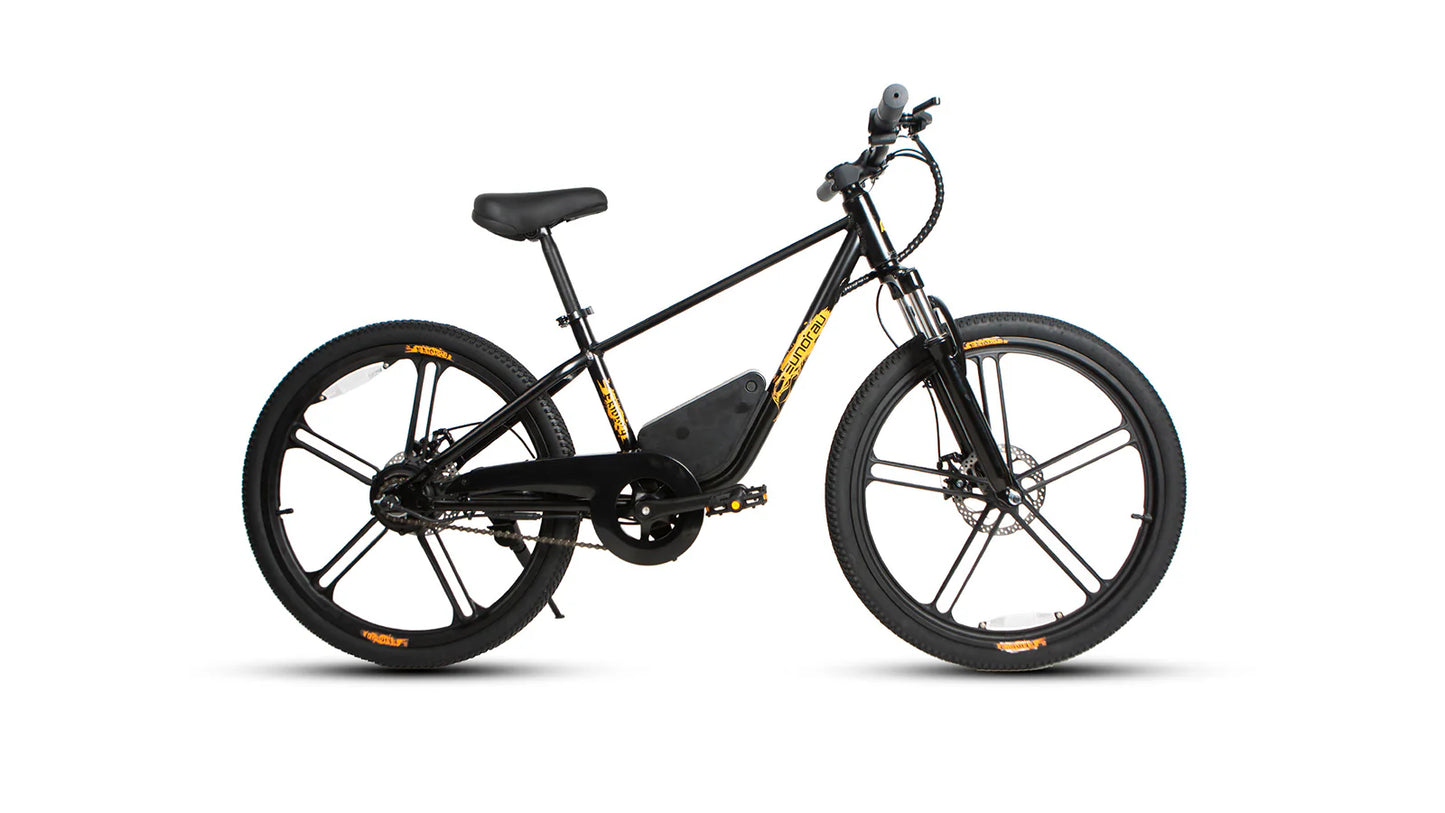 EUNORAU EKIDS-24 Electric Bike – 350W Youth eBike for Teens & Kids