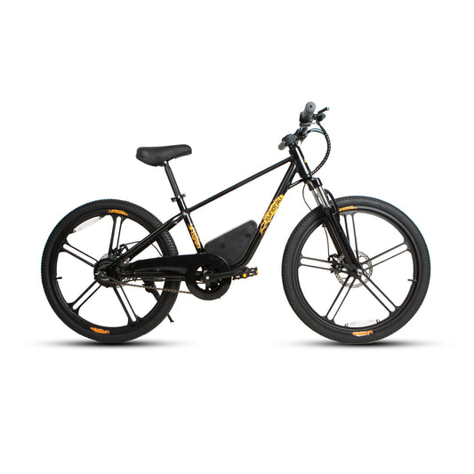 EUNORAU EKIDS-24 Electric Bike – 350W Youth eBike for Teens & Kids