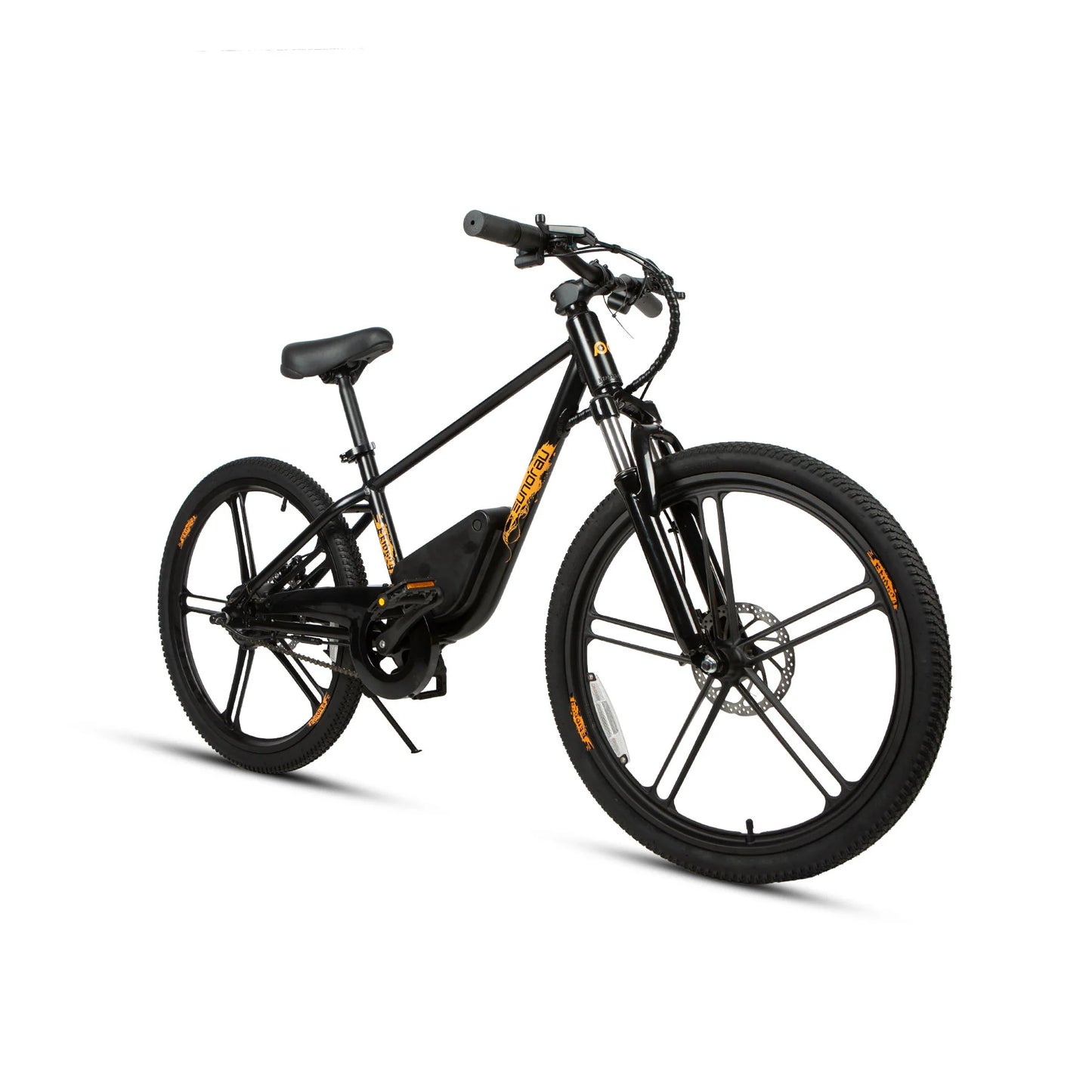 EUNORAU EKIDS-24 Electric Bike – 350W Youth eBike for Teens & Kids