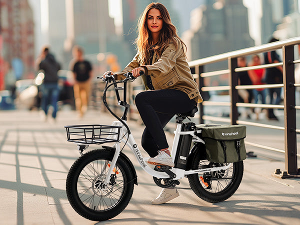 isinwheel U7 Cargo Bike