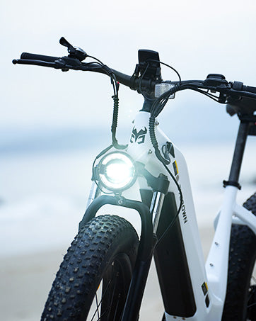 Cycrown Verve Fat Tire Ebike