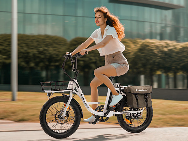 isinwheel U7 Cargo Bike