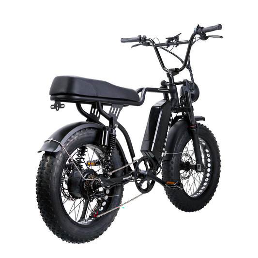 NAKTO Fat Tire Ebike F2