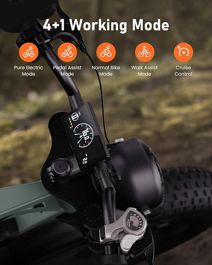 Cycrown Hunter Moped-Style Ebike