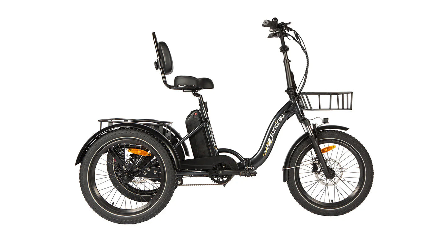 EUNORAU ONE-TRIKE 2.0 Electric Trike – 500W Step-Thru Cargo eTrike