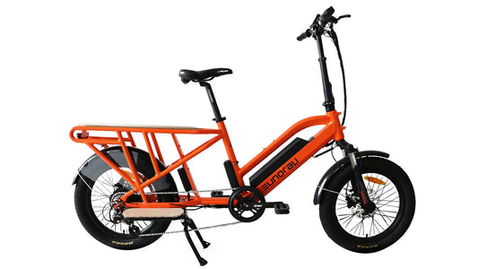 EUNORAU G30-CARGO Electric Bike – 750W Long-Range Utility eBike