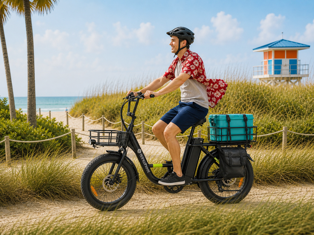isinwheel U7 Cargo Bike – photo 4
