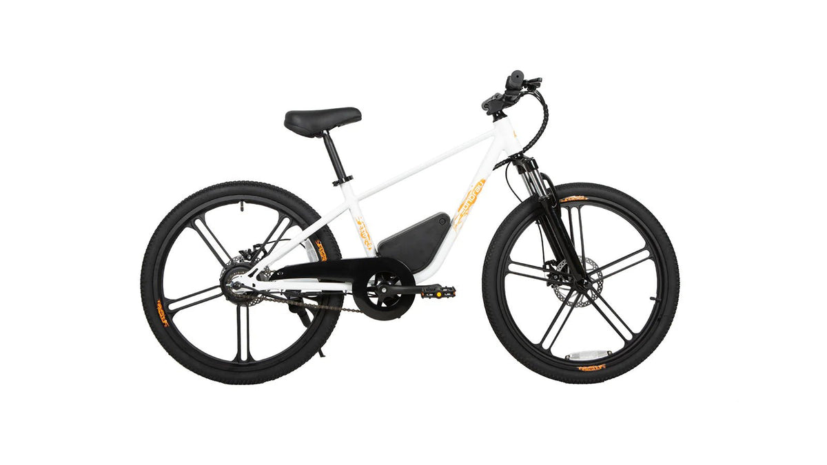EUNORAU EKIDS-24 Electric Bike – 350W Youth eBike for Teens & KidsEvolveRide