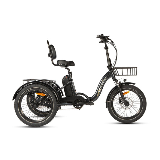 EUNORAU ONE-TRIKE 2.0 Electric Trike – 500W Step-Thru Cargo eTrikeEvolveRide