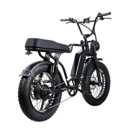 NAKTO Fat Tire Ebike F2Electric BicycleEvolveRide