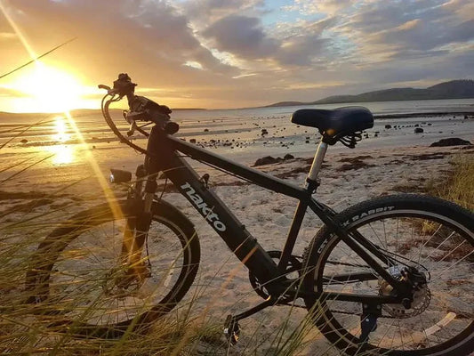 Choosing Your First E-Bike: 3 Beginner-Friendly Options Worth Considering
