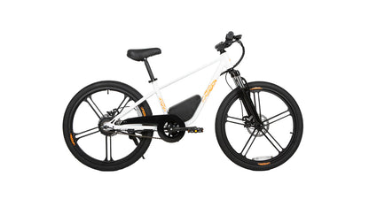 EUNORAU EKIDS-24 Electric Bike – 350W Youth eBike for Teens & Kids