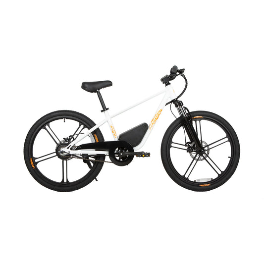 EUNORAU EKIDS-24 Electric Bike – 350W Youth eBike for Teens & Kids