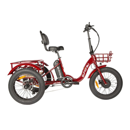 New-Trike 2.0