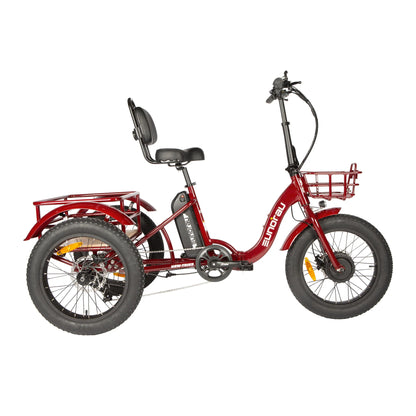 EUNORAU NEW-TRIKE 2.0 Electric Trike – 750W Fat Tire Cargo eTrike