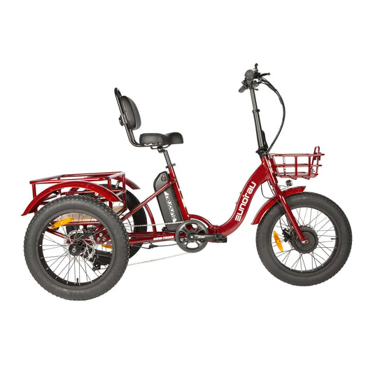 EUNORAU NEW-TRIKE 2.0 Electric Trike – 750W Fat Tire Cargo eTrike