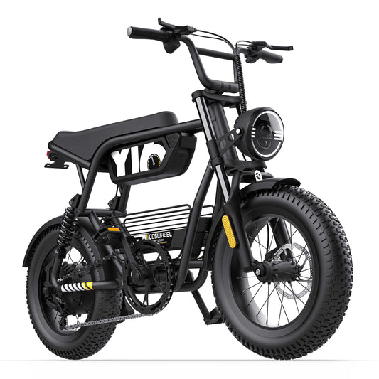 COSWHEEL Y16 EBIKE