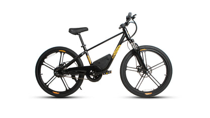 EUNORAU EKIDS-24 Electric Bike – 350W Youth eBike for Teens & Kids