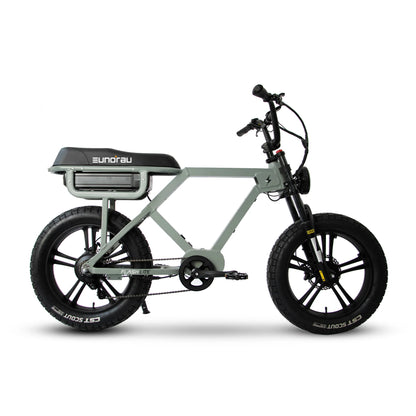 EUNORAU Flash AWD Electric Bike – Dual Motor 1000W Urban Cruiser eBike