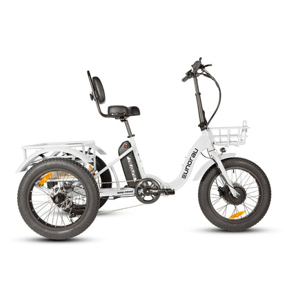New-Trike 2.0