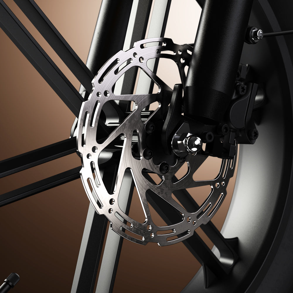 Cycrown CycHunter S moped e-bike photo 9