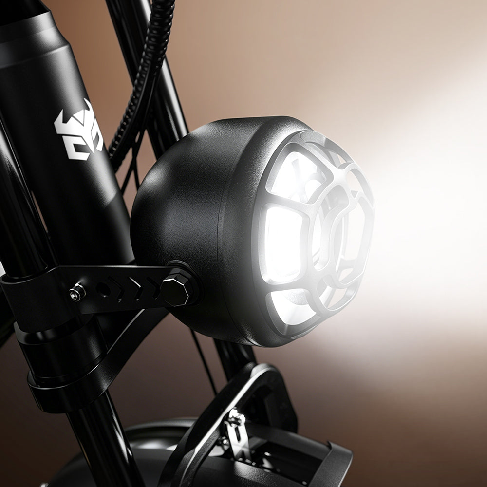 Cycrown CycHunter S moped e-bike photo 8