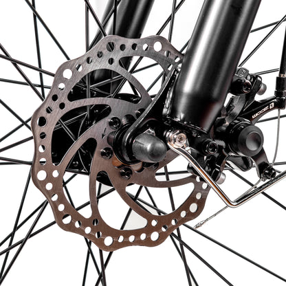 NAKTO 26" Cruiser 2