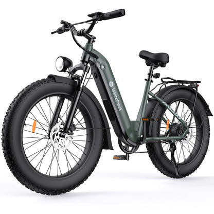 isinwheel U8 Ultra Electric Bike