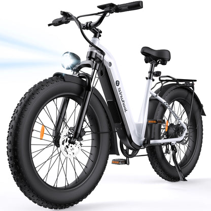 isinwheel U8 Plus Electric Bike
