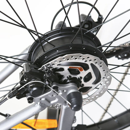NAKTO 26" Santa Monica