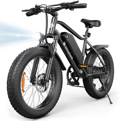 isinwheel M10 Pro Electric Bike