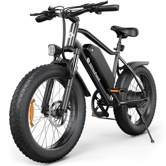 isinwheel M10 Pro Electric Bike