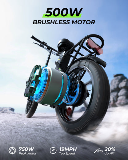 Isinwheel U4 Folding Electric Bike
