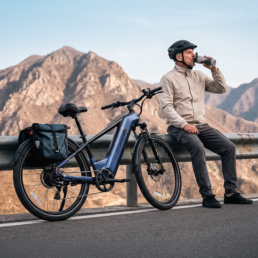 Cycrown UrbanXST commuter e-bike handlebar and display detail