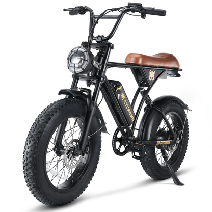 Cycrown Run Vintage Moped Ebike