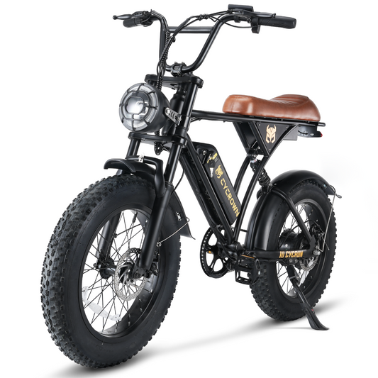 Cycrown Run Vintage Moped Ebike