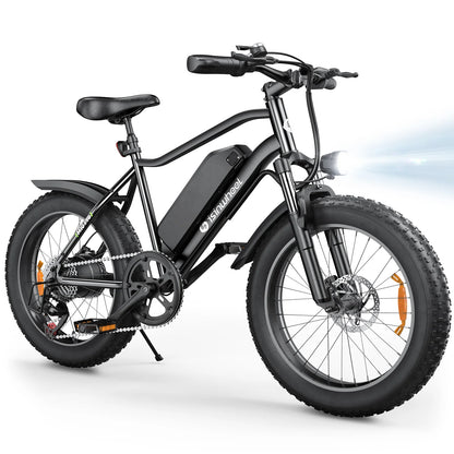 isinwheel M10 Pro Electric Bike