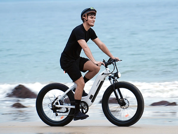 Cycrown Verve Fat Tire Ebike