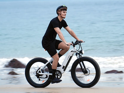 Cycrown Verve Fat Tire Ebike