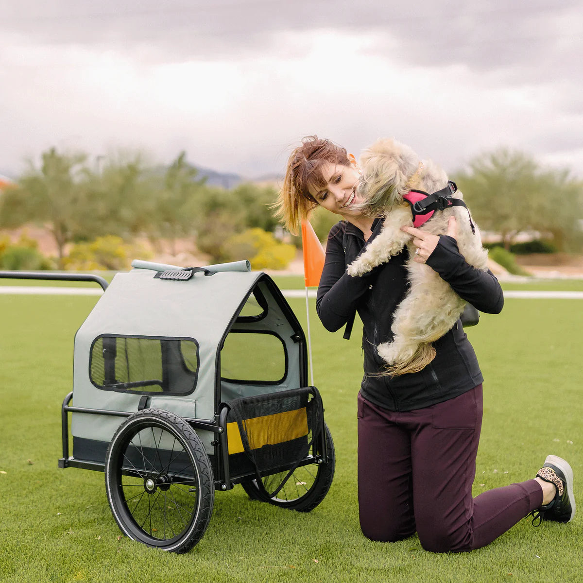 NAKTO Pet Bike Trailer