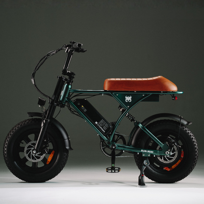 Cycrown Run Mini retro e-bike photo 23