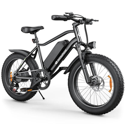 isinwheel M10 Pro Electric Bike