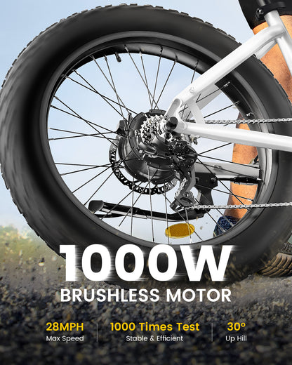Cycrown Verve Fat Tire Ebike