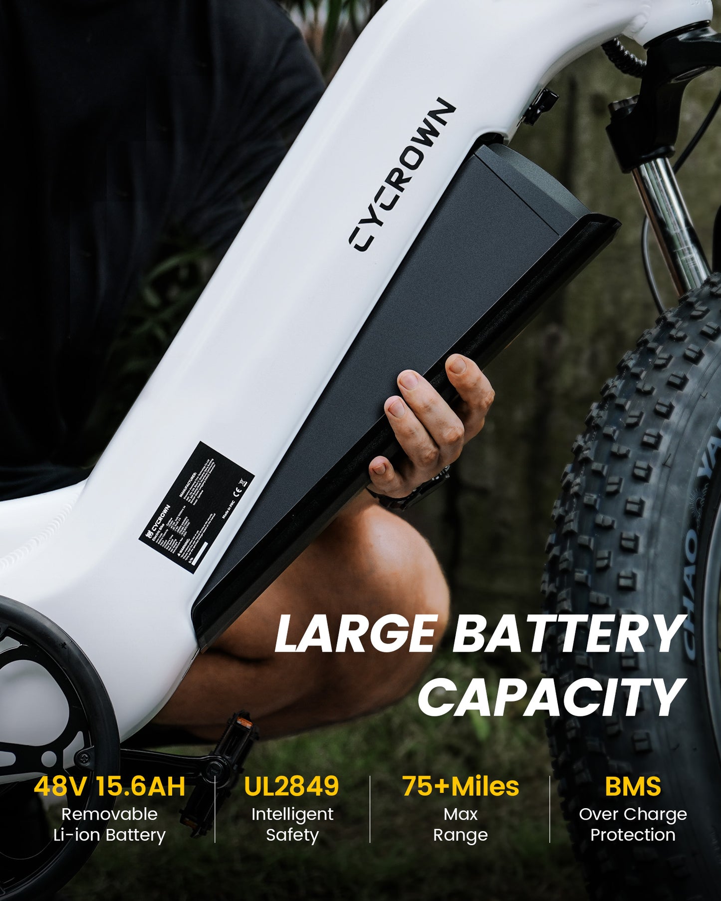Cycrown Verve Fat Tire Ebike