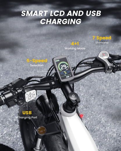 Cycrown Verve Fat Tire Ebike