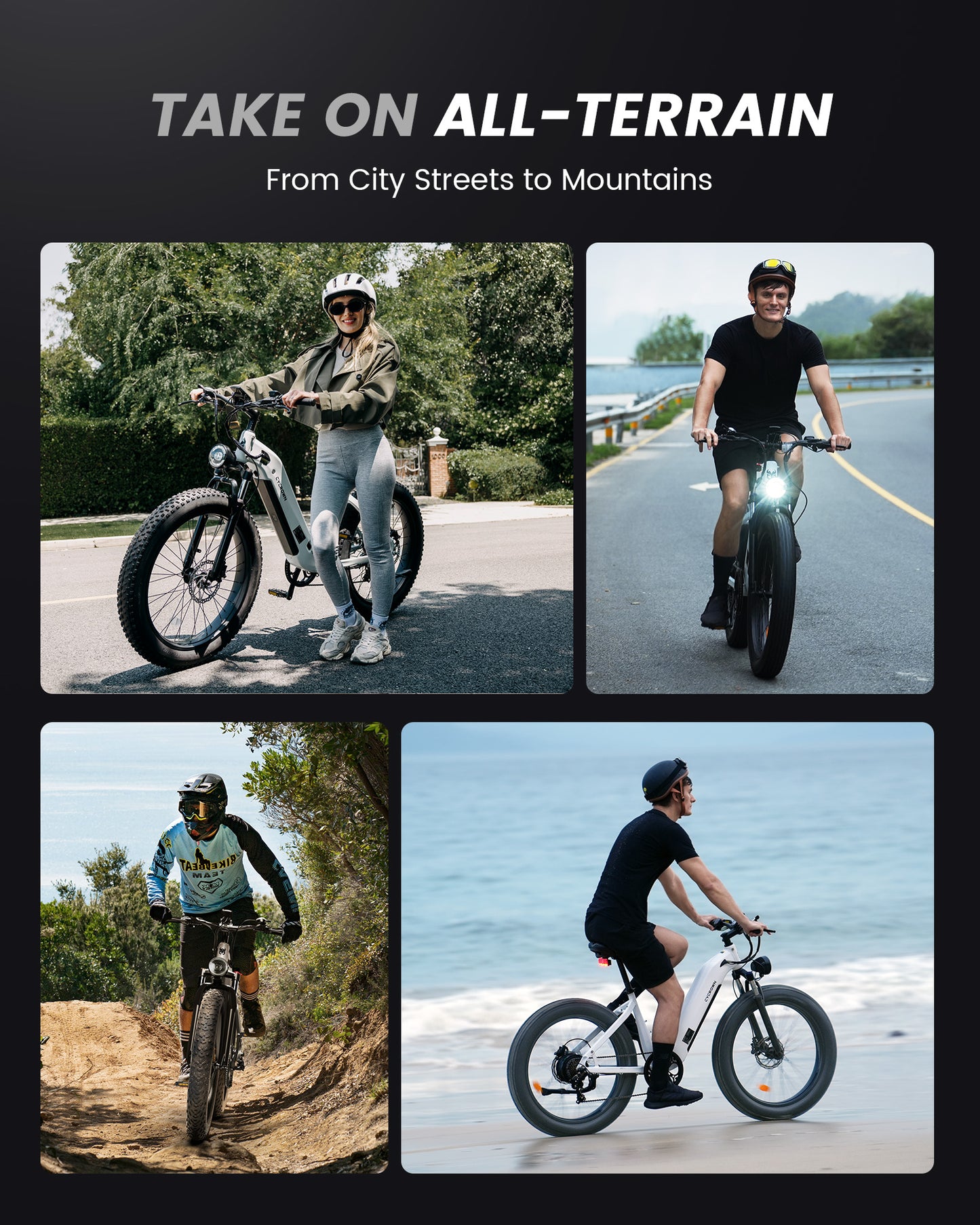 Cycrown Verve Fat Tire Ebike