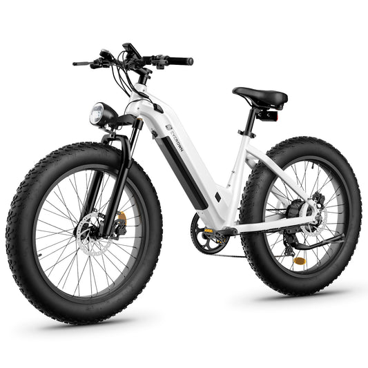 Cycrown Verve Fat Tire Ebike