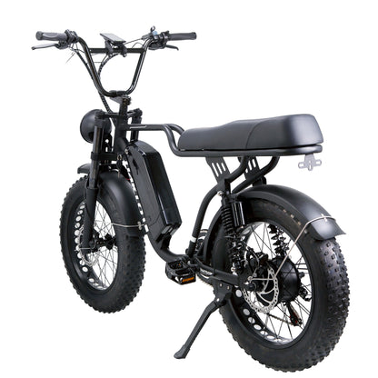 NAKTO Fat Tire Ebike F2