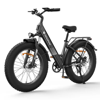 isinwheel M60 750W All-terrain Electric Bike